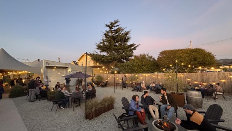A photo of an outdoor area with fire pits and people and string lights.