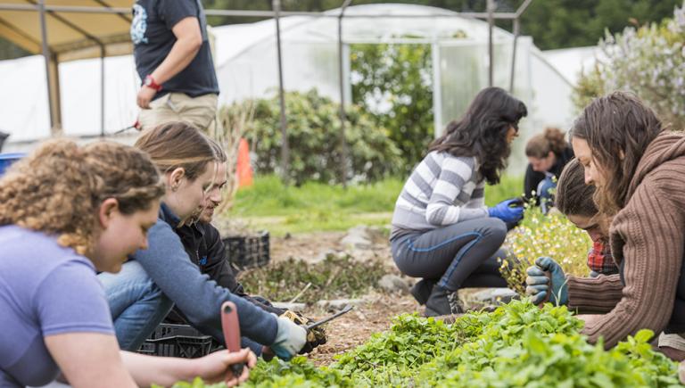 Students volunteering at the Potawat Community Garden