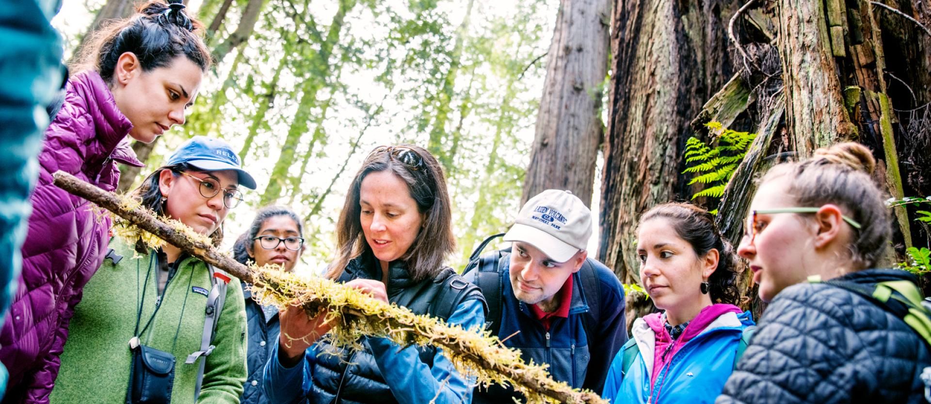 Students gathered around a professor in the forest