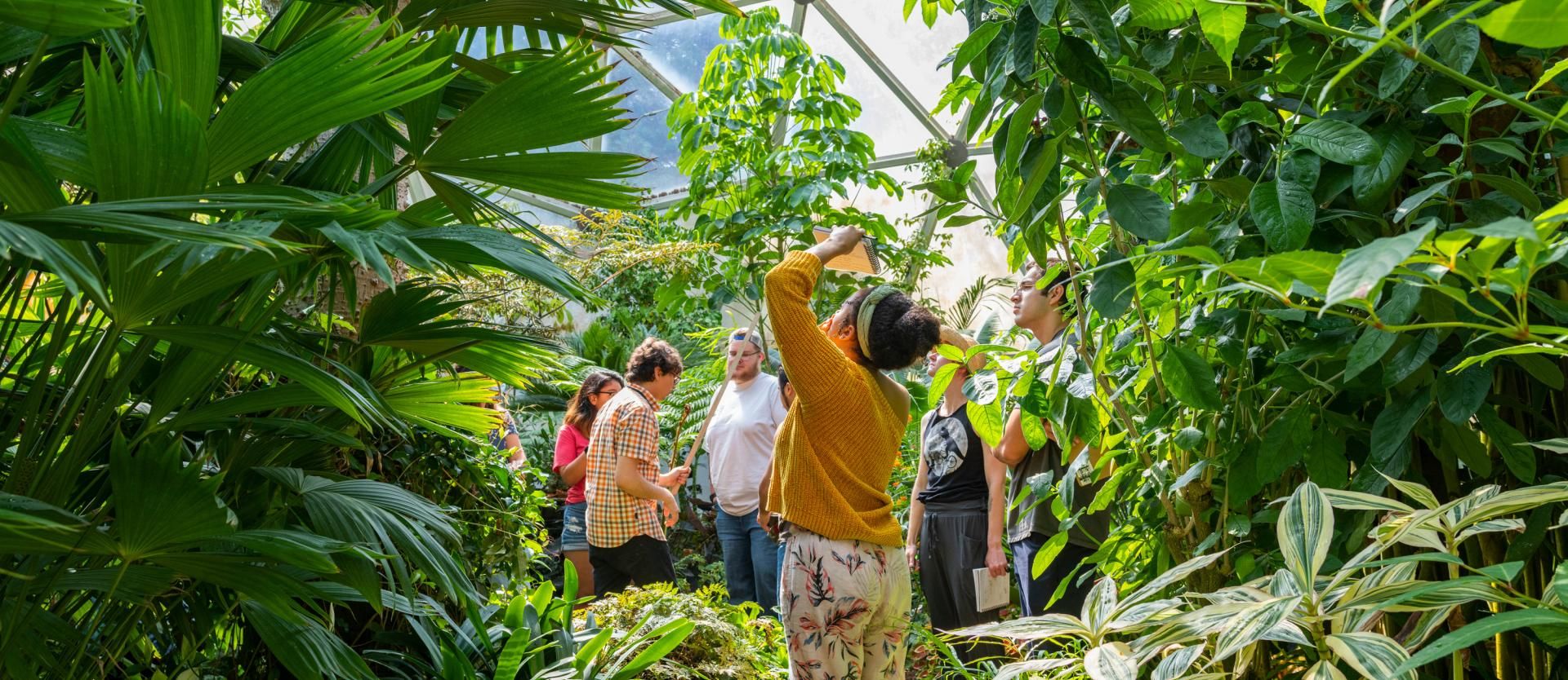 Student stand in Cal Poly humboldt greenhouse