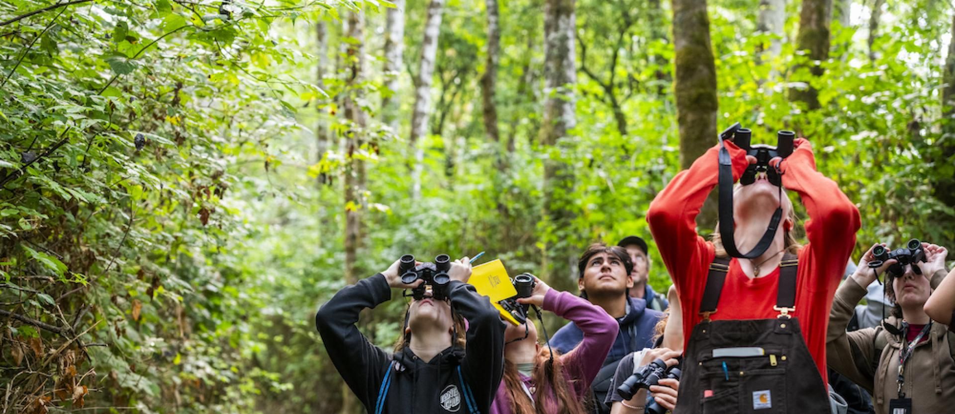 Students look through binoculars in the woods