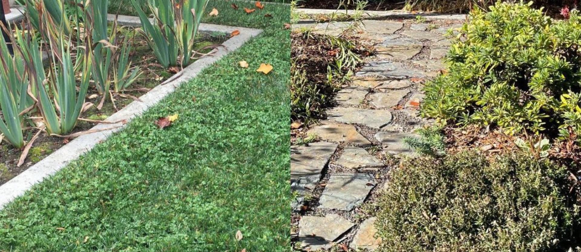 Green Space conversion