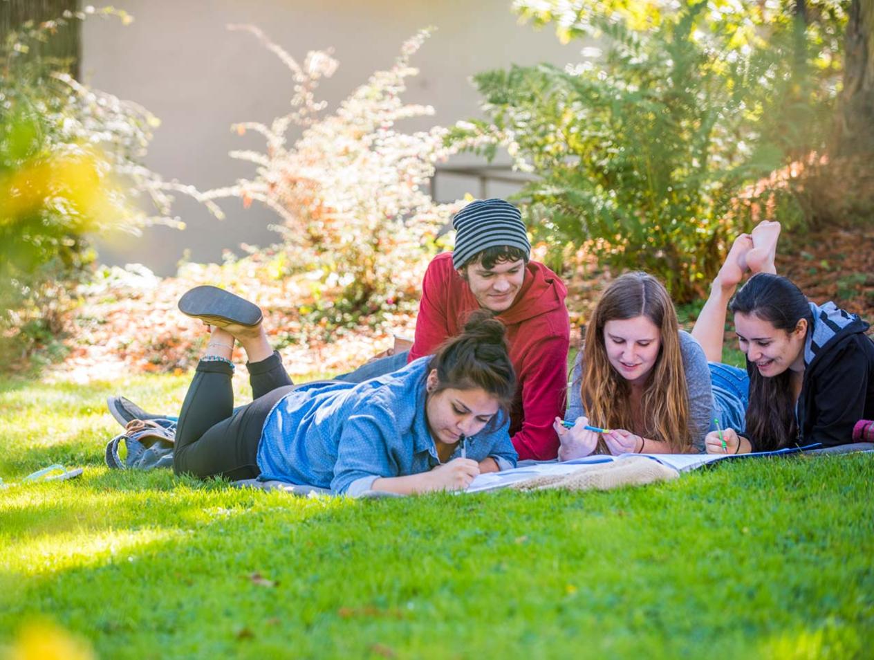 Department of Communication