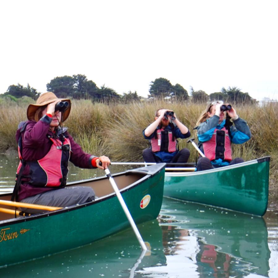 Birding on Canoes