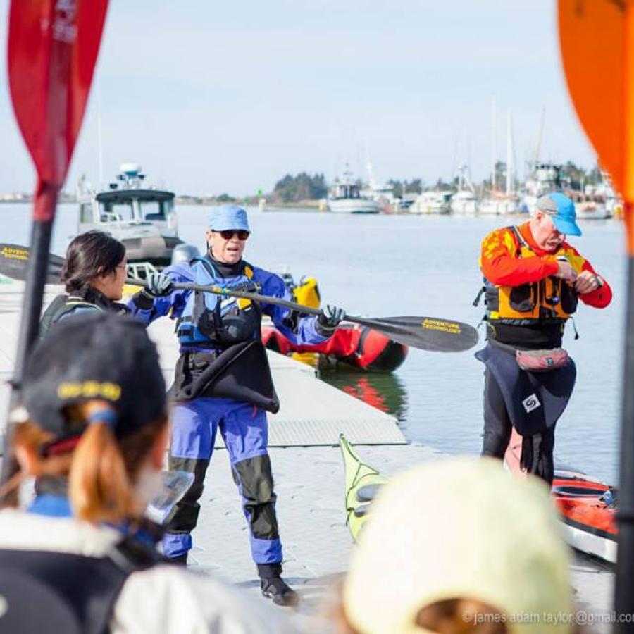 Paddle Strokes Picture