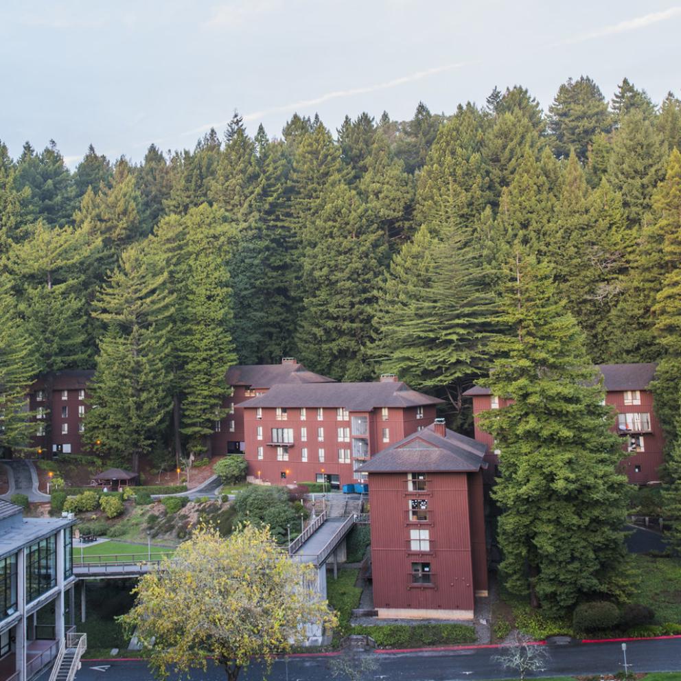 campus housing with redwoods in background