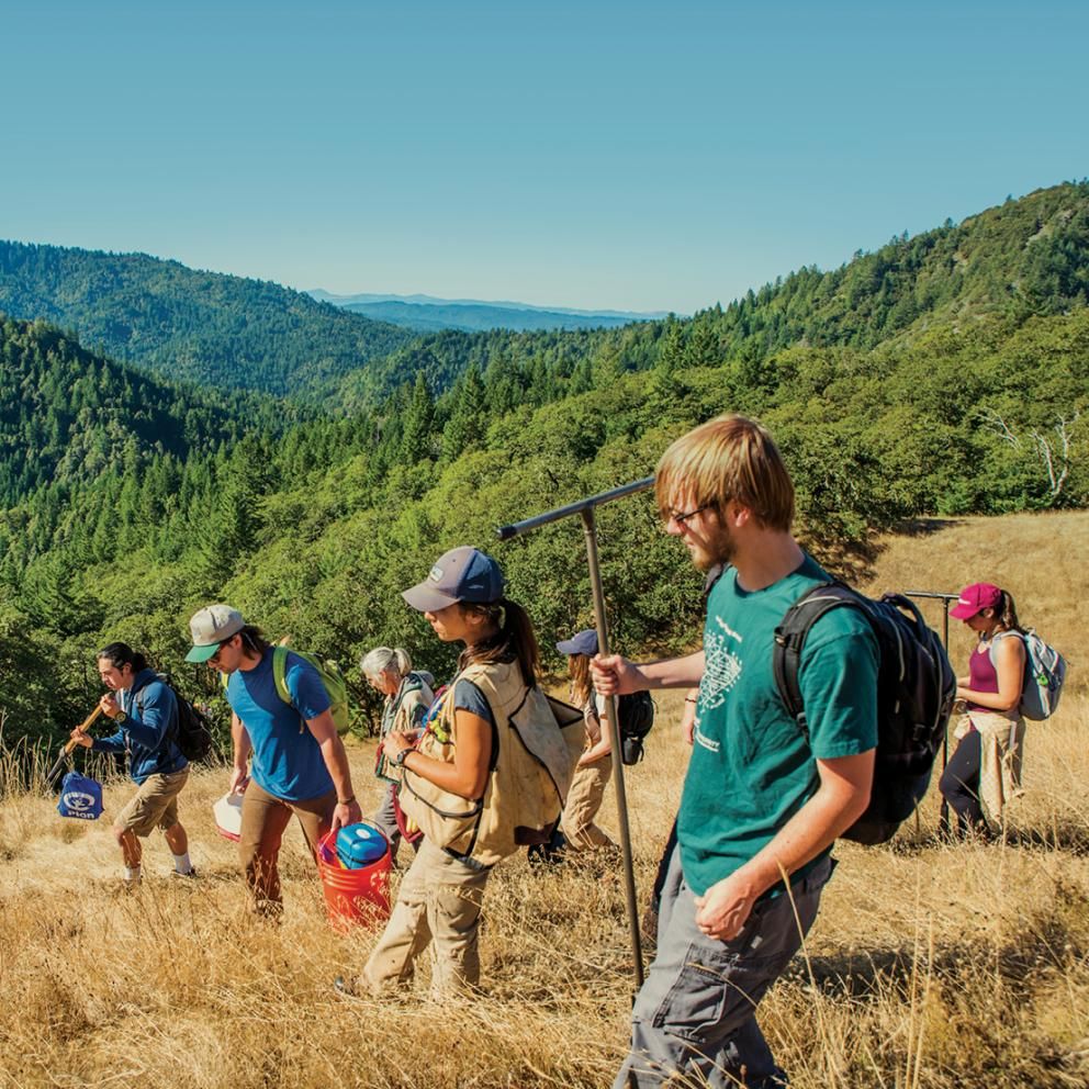 Students working in nature