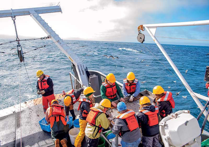 Researching the open ocean aboard the Coral Sea