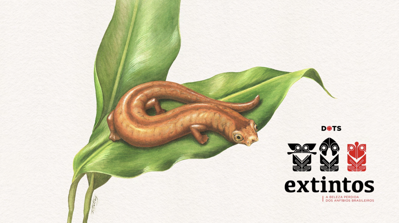 An illustration of a salamander on a leaf
