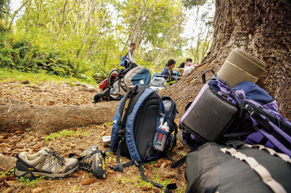 backpacks by a tree with hikers in the background