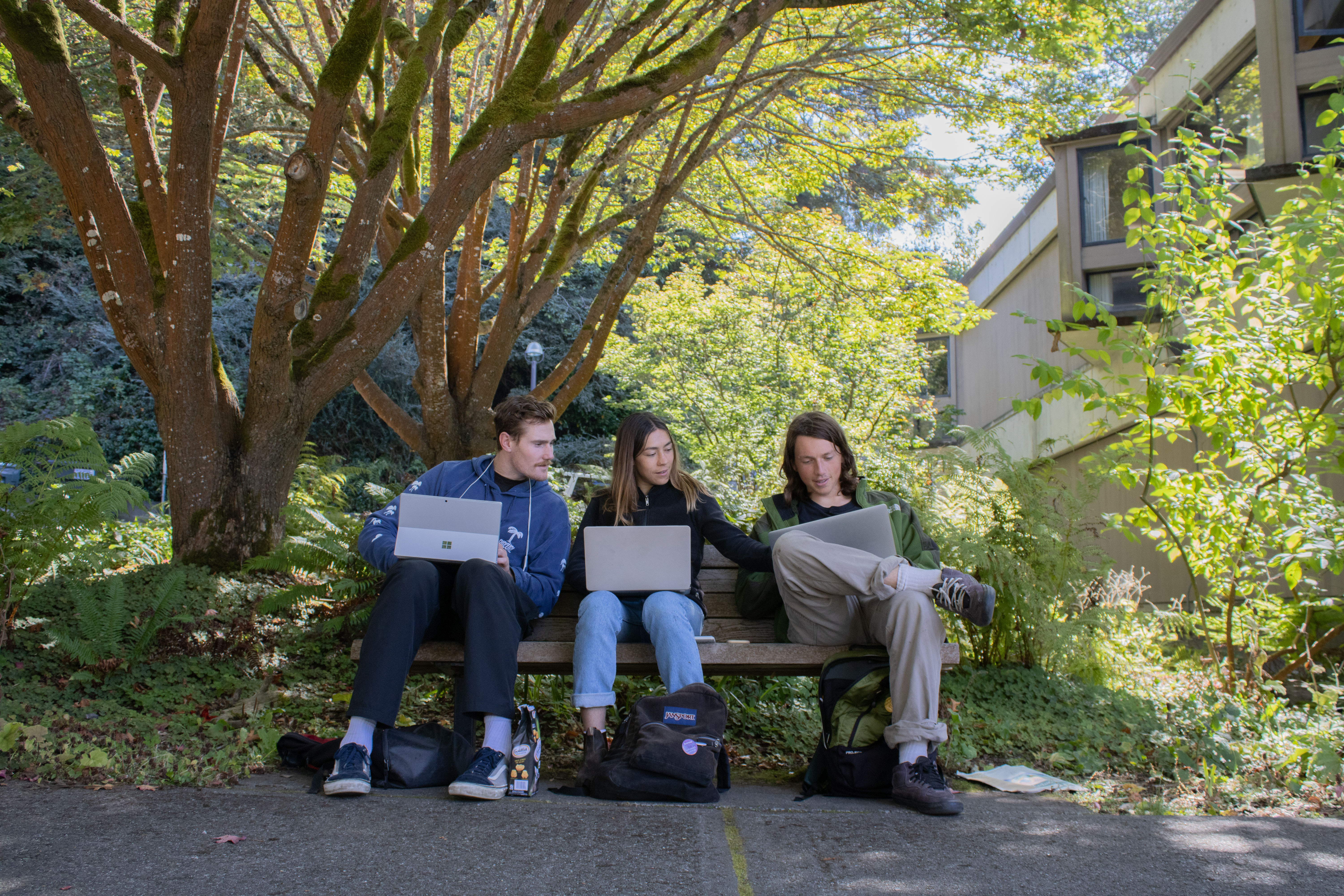 Students Working on Laptops