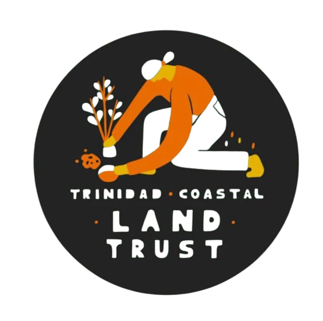 TCLT LOGO