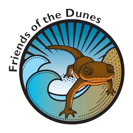 friends of the dunes logo