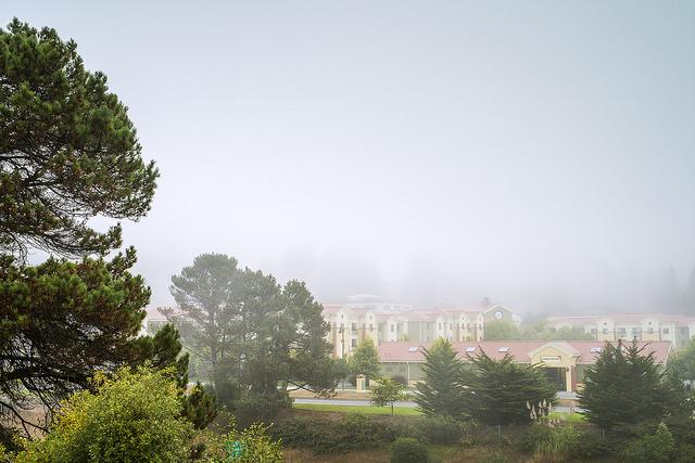 Campus under morning fog