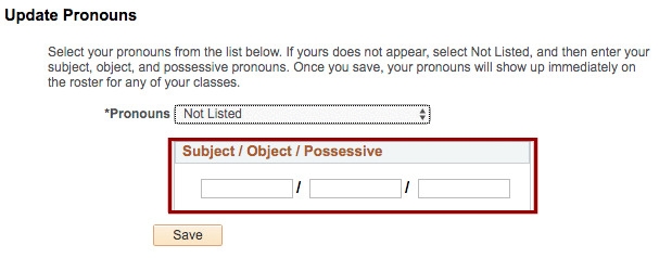 Manually enter pronouns fields highlighted