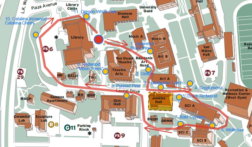 Fall 2025 Tree Walking Tour 1