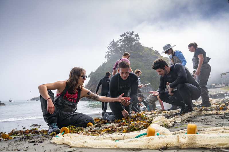 Several students inspect a seine net on the beach. 