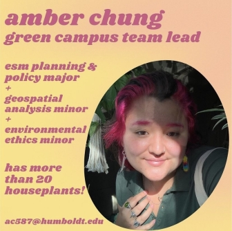 Amber Chung: Team Lead