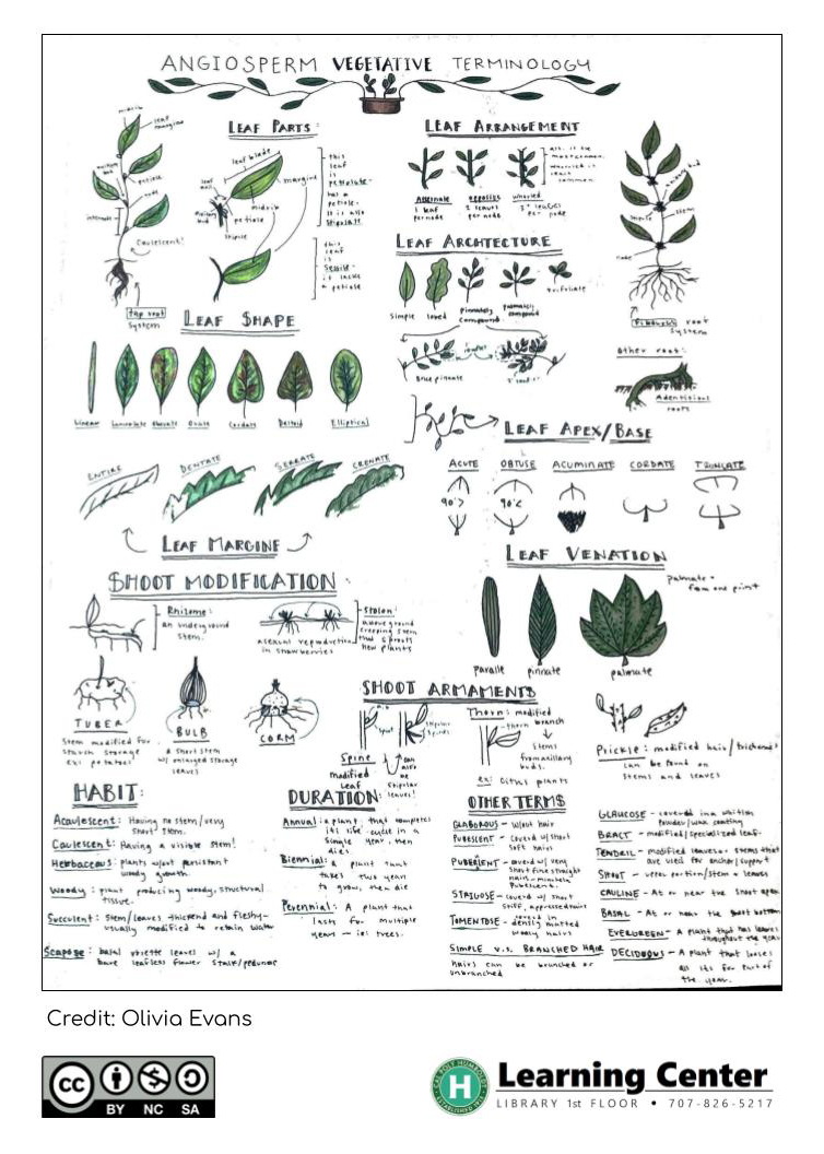  Summary Sheet Guide