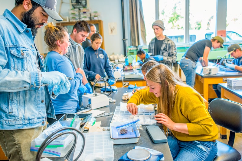 Marine Lab class