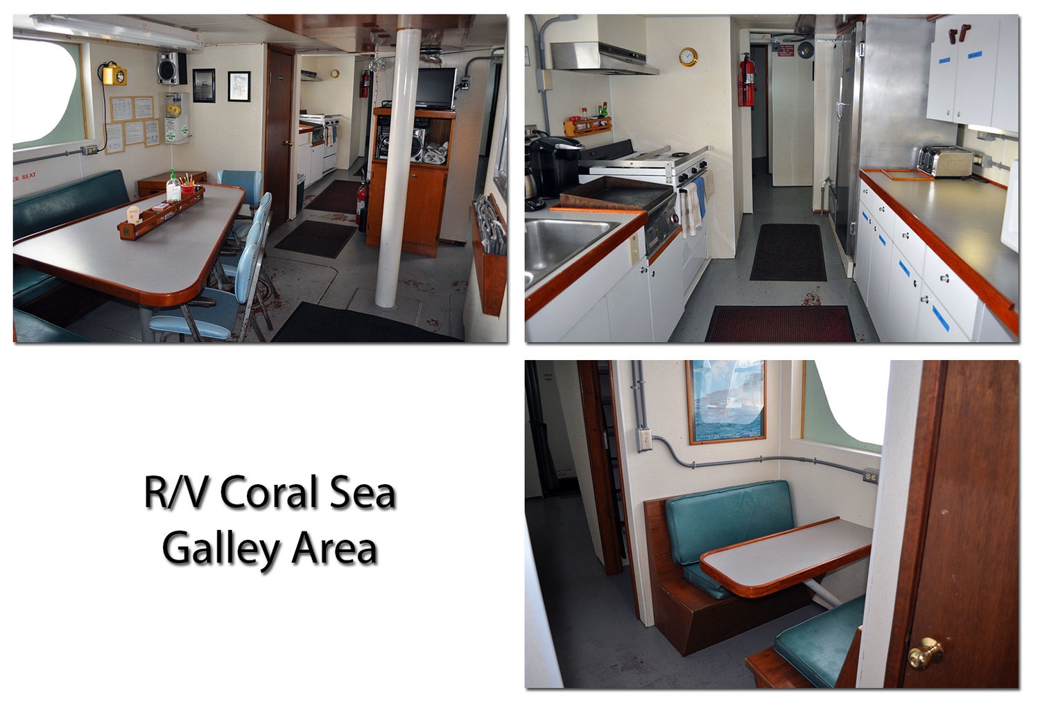 Coral Sea Galley