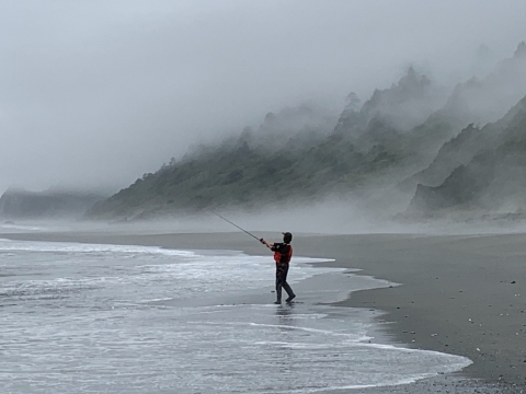 Person fishing on beach