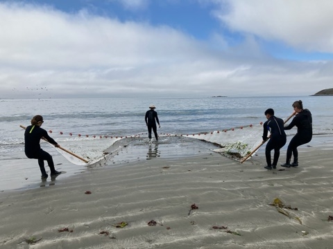 Fishing on the beach