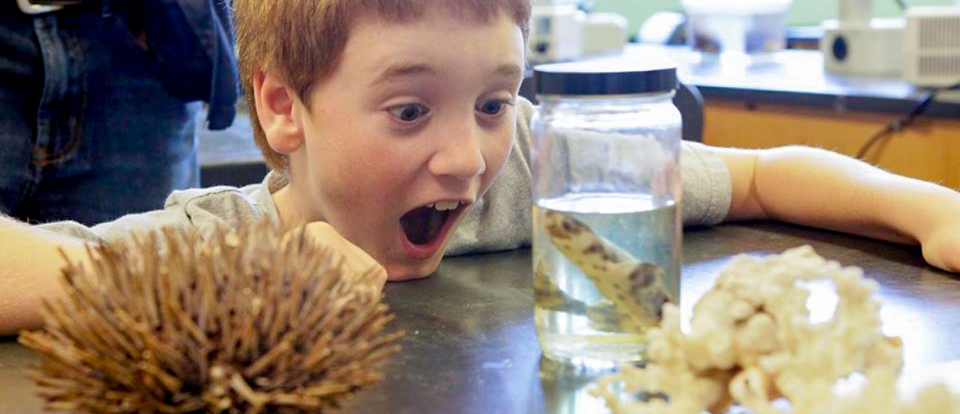 Excited Kid