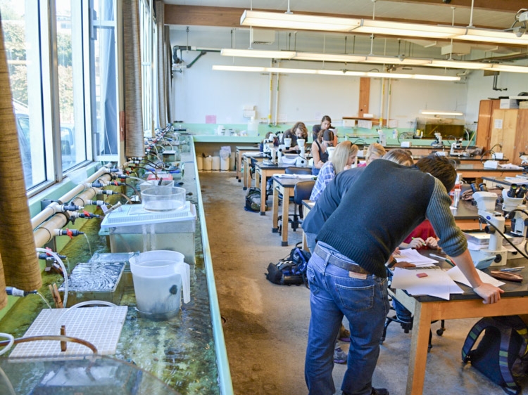 Marine Lab