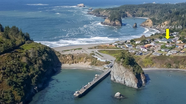 Birds eye view of Trinidad