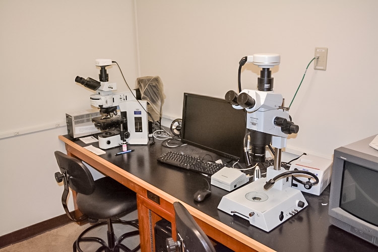 Microscope room