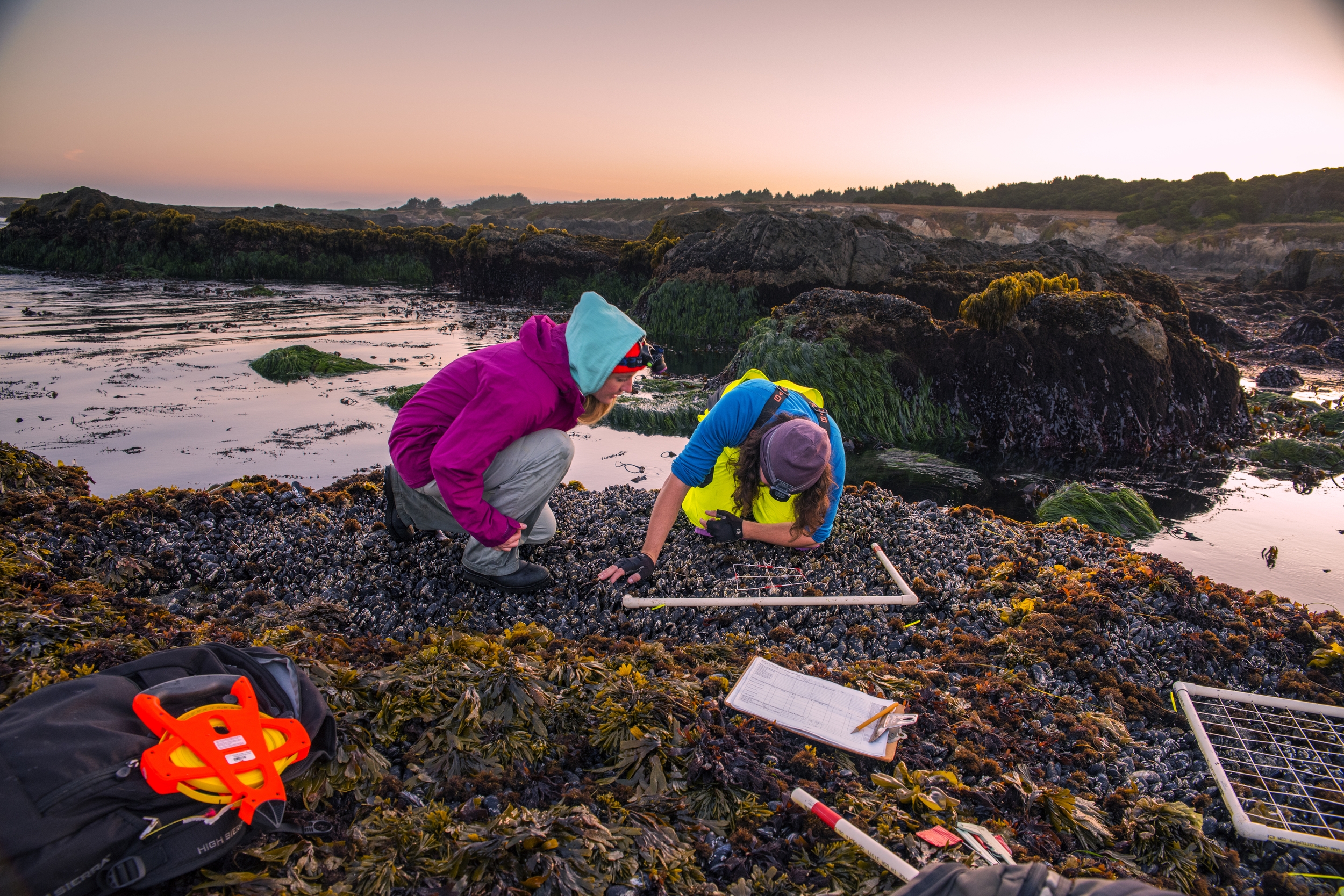 Students in tidal pool