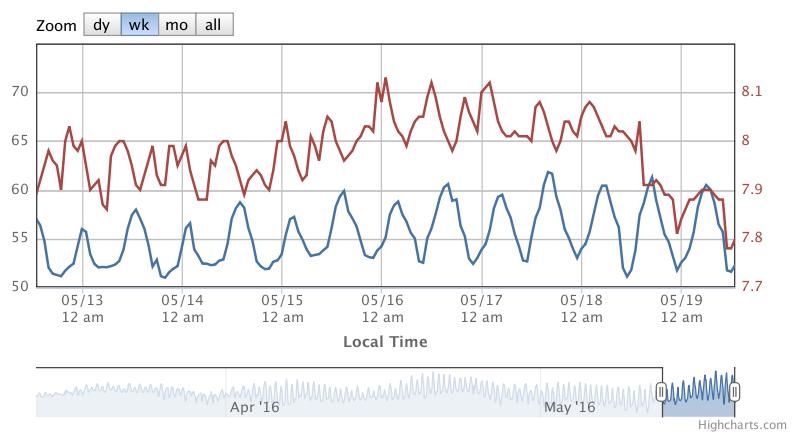 Tide Chart