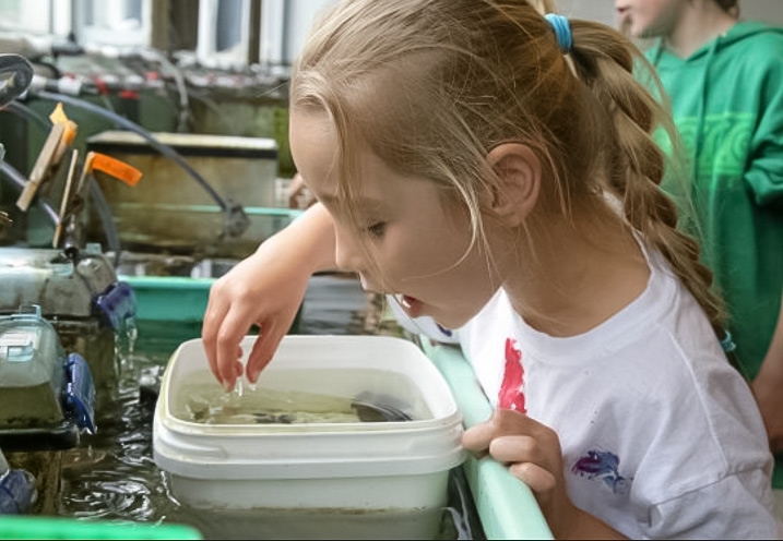 Child at marine lab