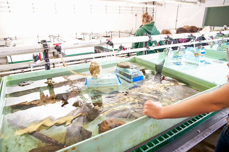 Marine Lab wet lab