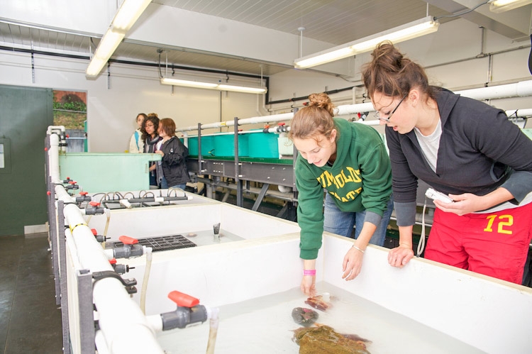 Marine Lab wet lab