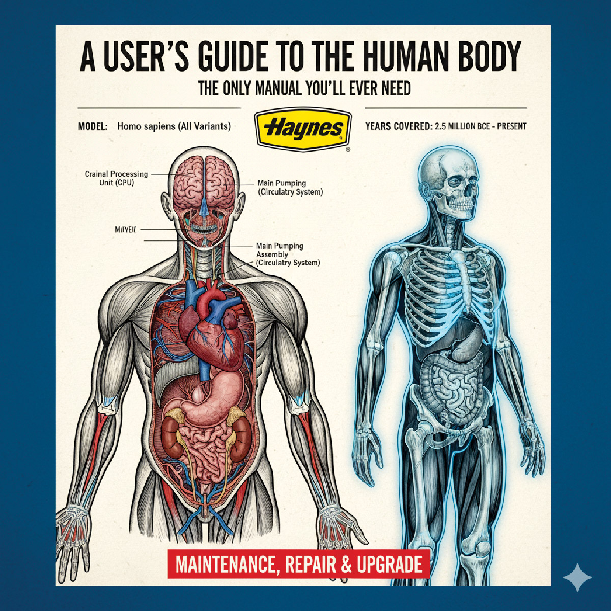your-body-manual.jpg