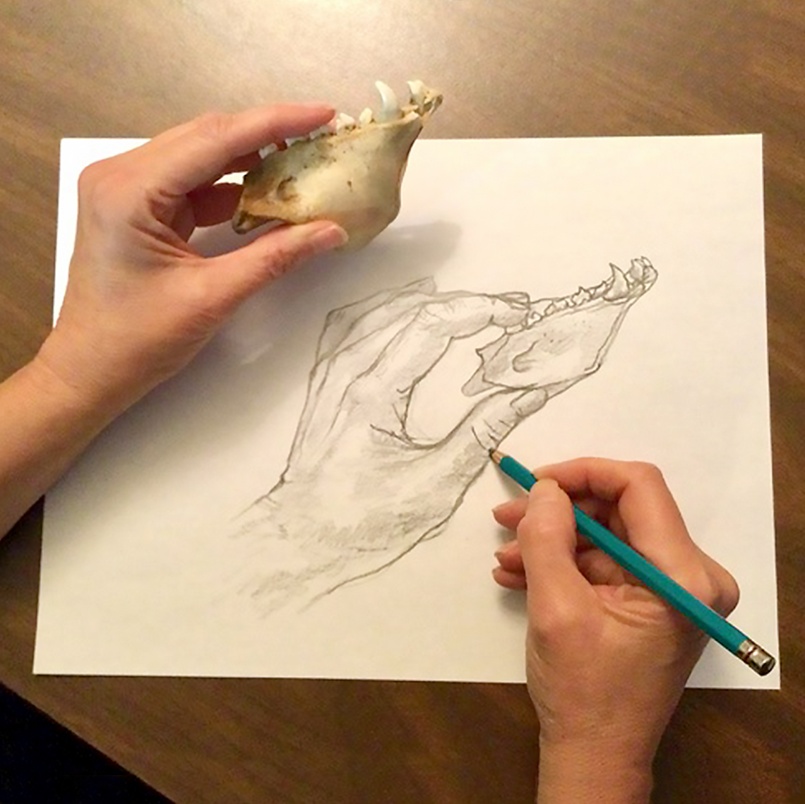 drawing-circle.jpg