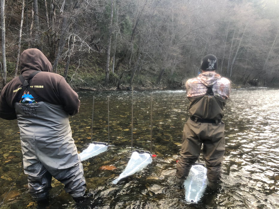 Hoopa Valley Tribe technicians collecting benthic macroinvertebrates with drift nets on the Trinity River. Photo by Thomas Starkey-Owens (2018)