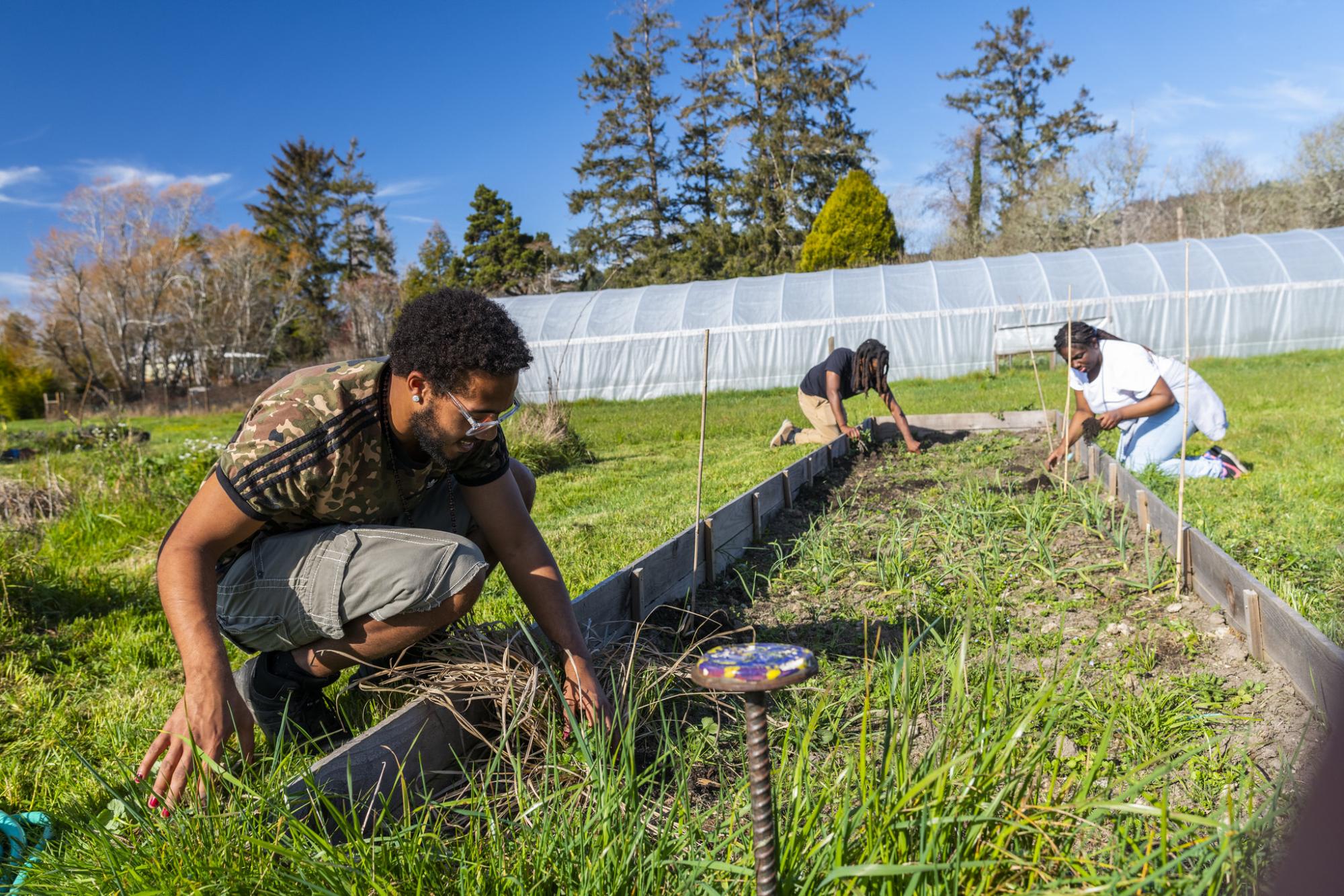 black_to_the_land.jpg black_to_the_land.jpg