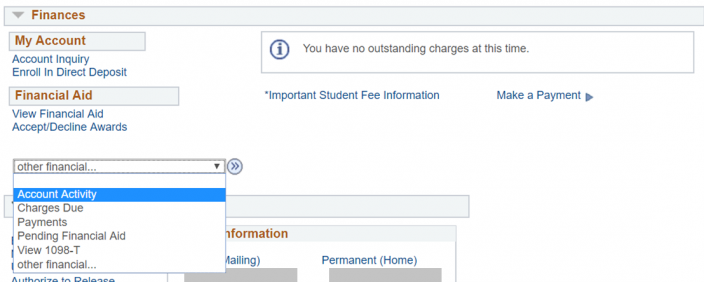 Financial page within student center, with drop dop open and Account Activity selected
