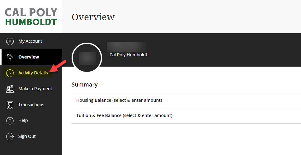 Payment portal with Activity Details button highlighted