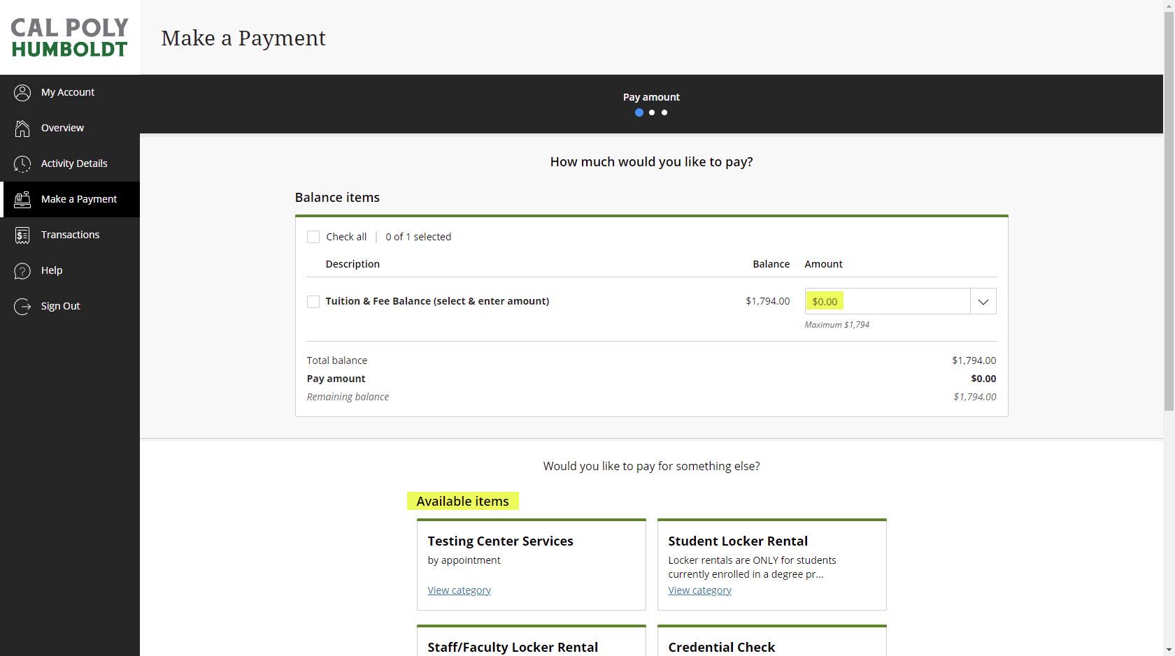 Image of Make a Payment page