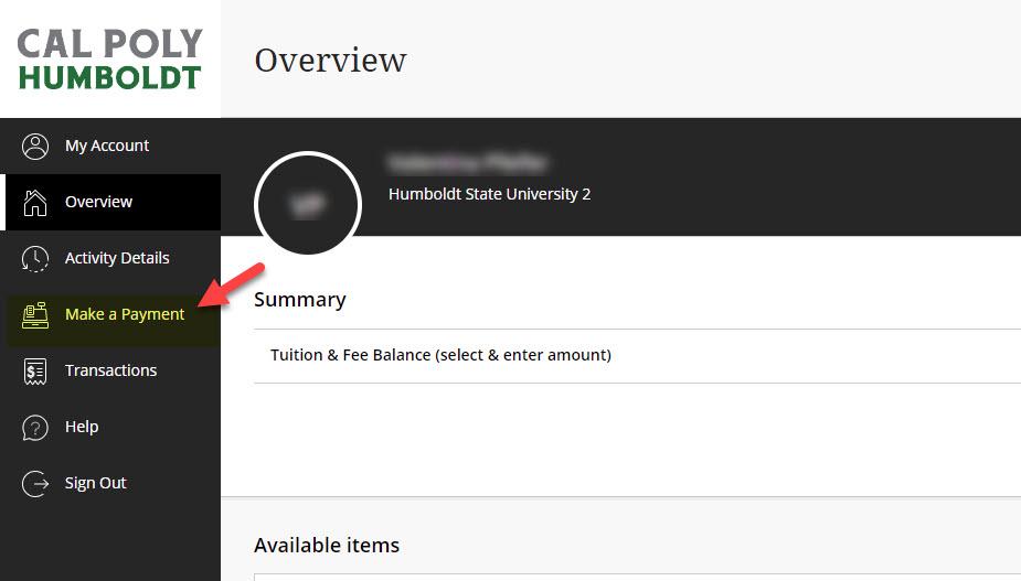 Payment portal page with Make a payment button highlighted