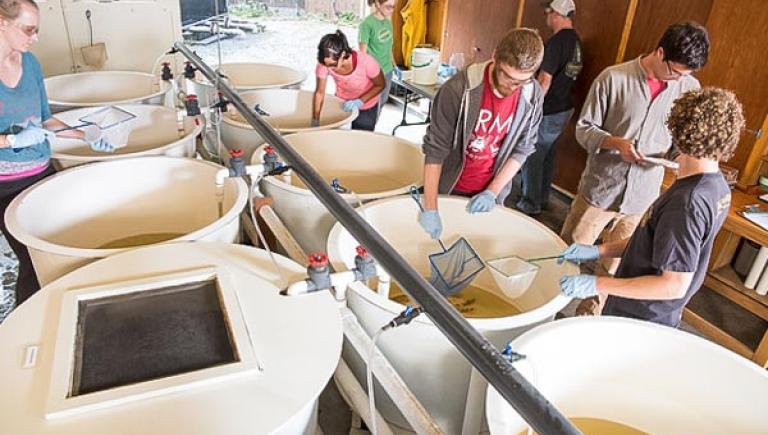 Students in the Fish Hatchery