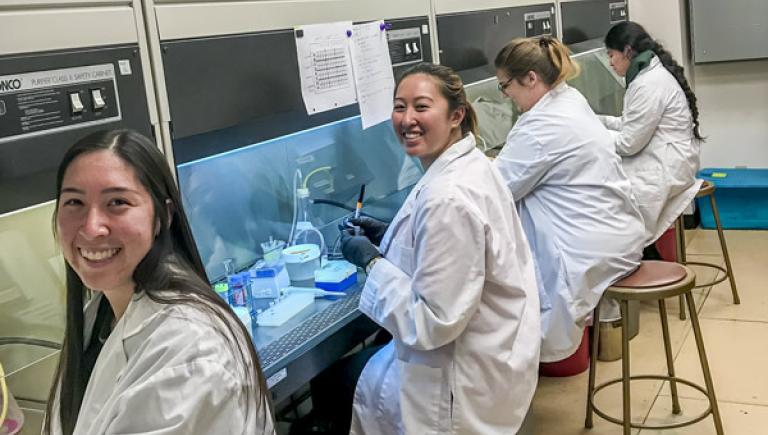 Students in lab coats sitting in the biotechnology facility