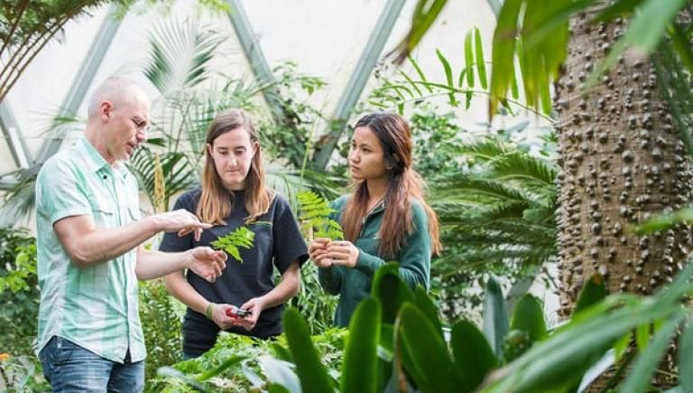 Professor with students inside the greenhouse