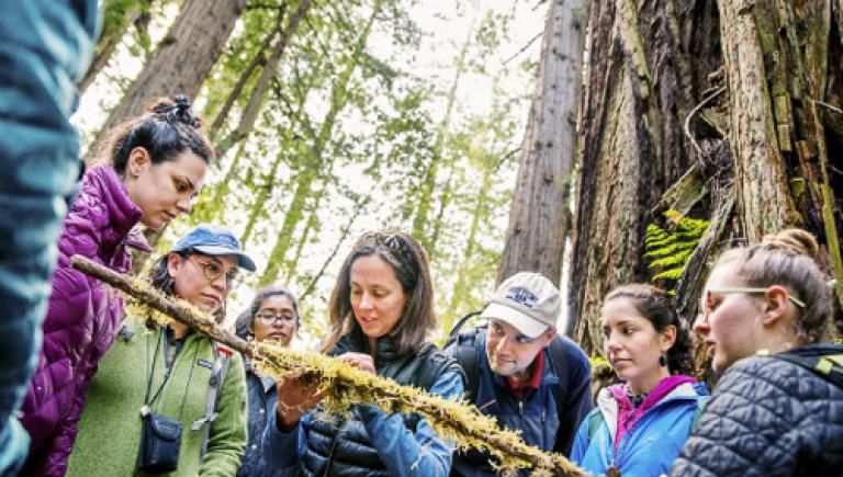 Forestry Class, in nature