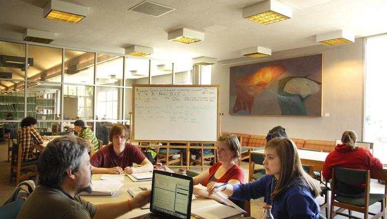 Students working in library