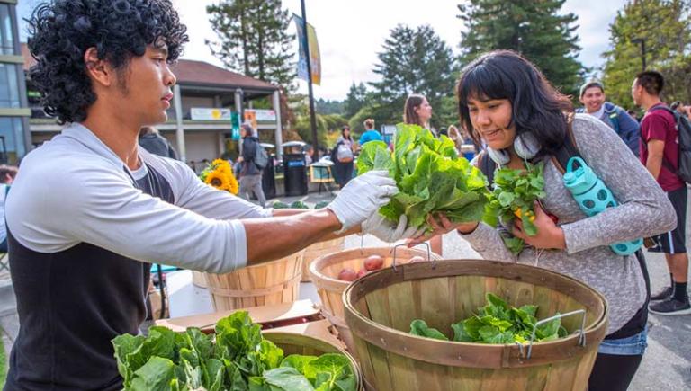 Student buying lettuce on quad